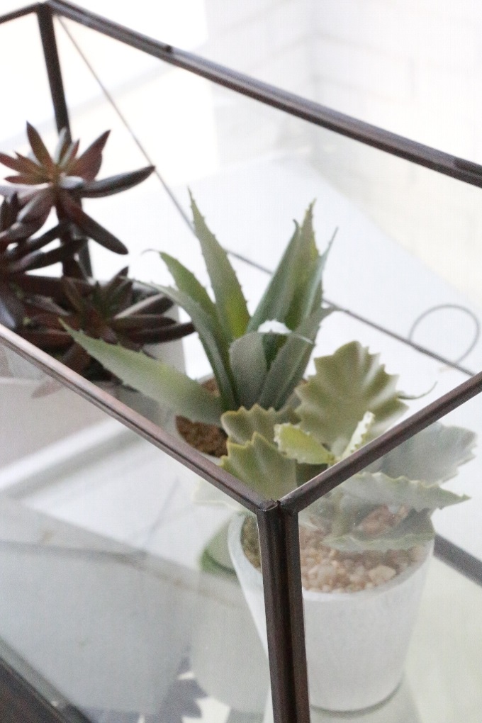 “ミラーテラリウム”