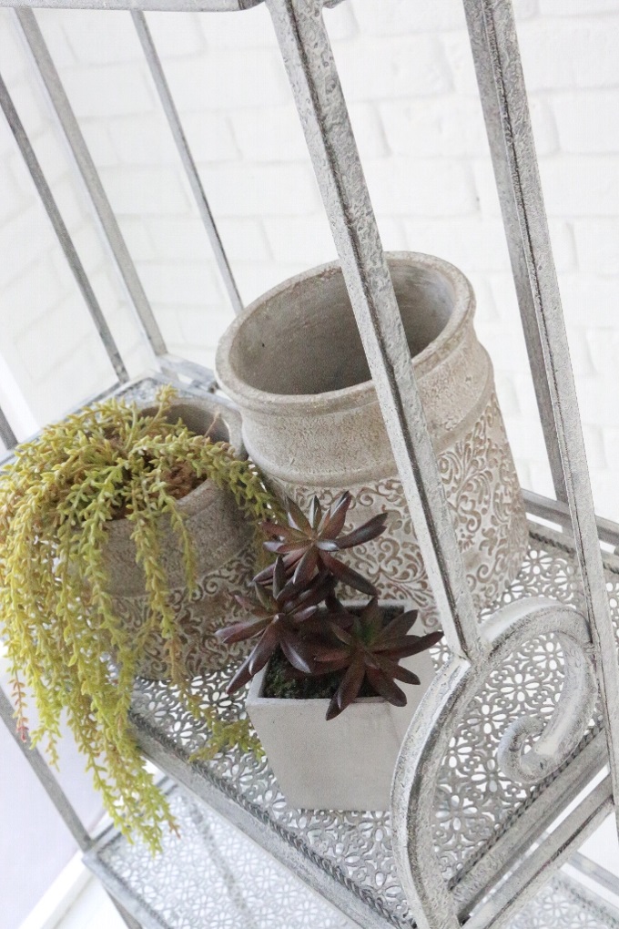 “パウダーレース・フォーティアシェルフ”