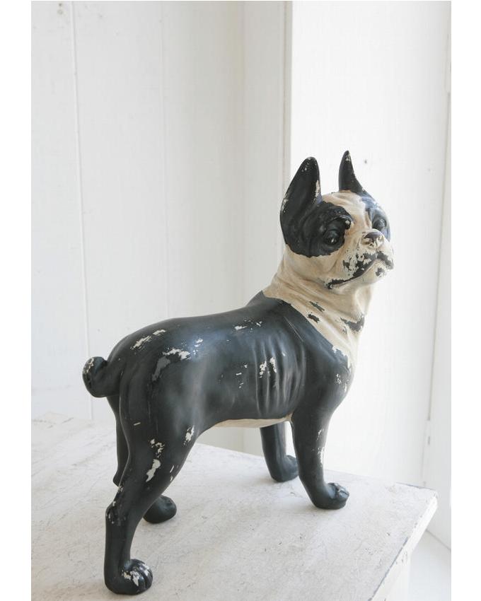 “ボストンテリア”