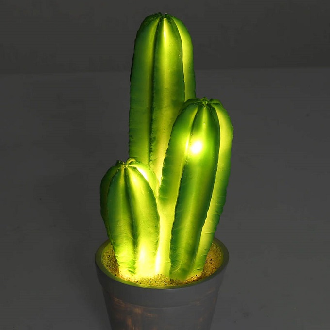 “CACTUS