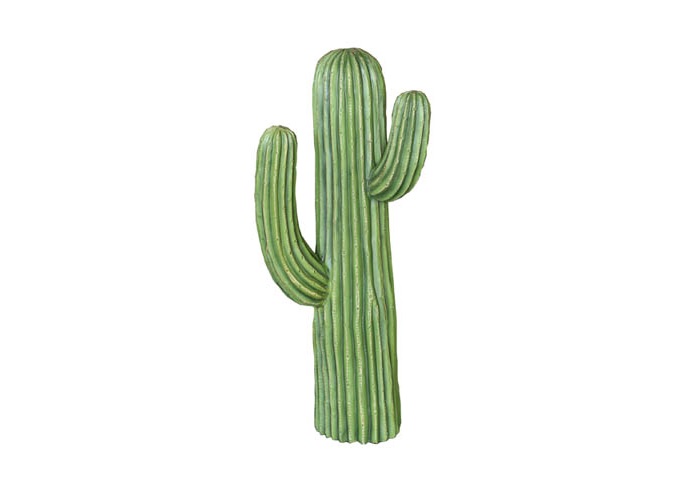 “CACTUS”