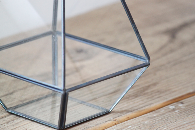 テラリウムドロップ フレームオブジェ