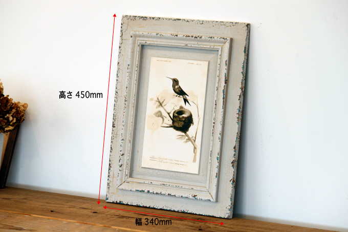 アンティーク調 絵画 アート 鳥 バード