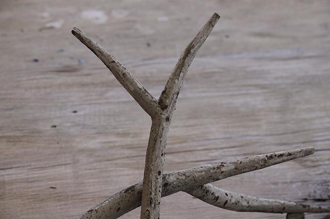 アイアンウォールパイン