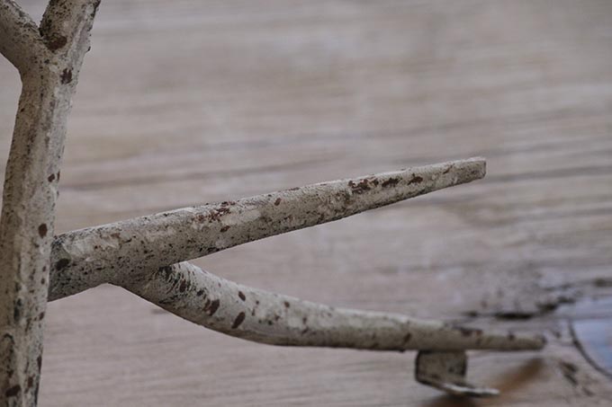 アイアンウォールパイン