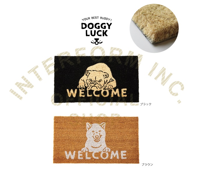 “マイロッティ”