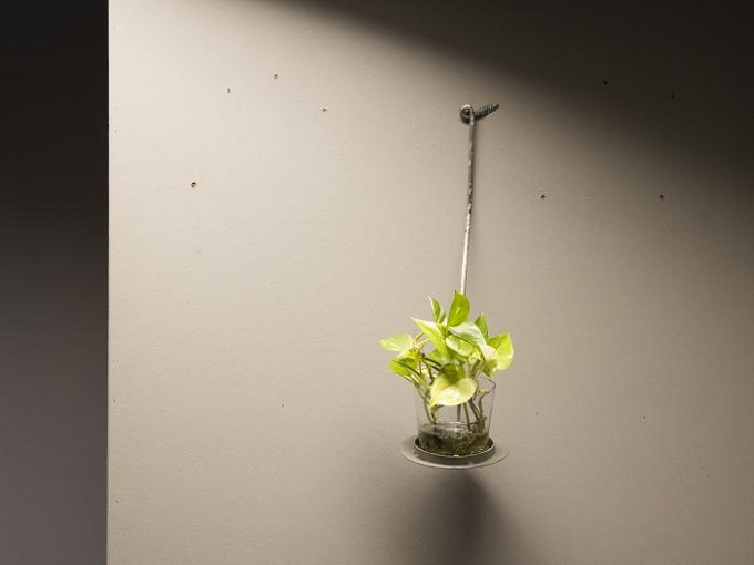 “プランター”