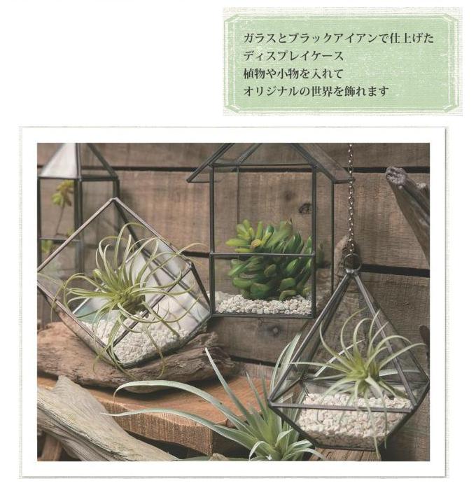 “ディスプレイケース”