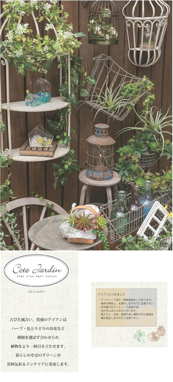 “コテジャルダン”