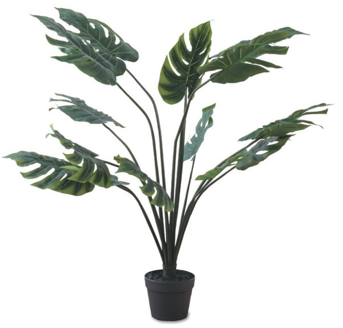 “フェイクプランツ”