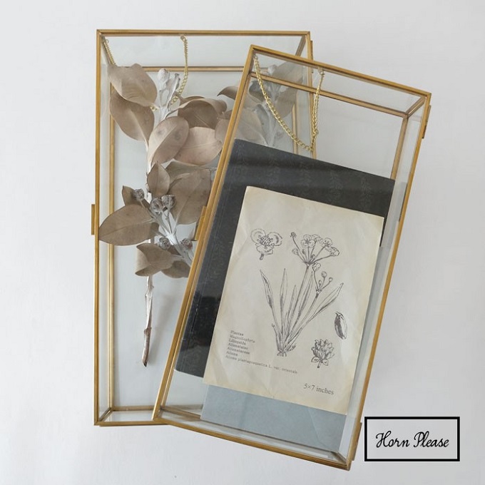 “ガラスケース”