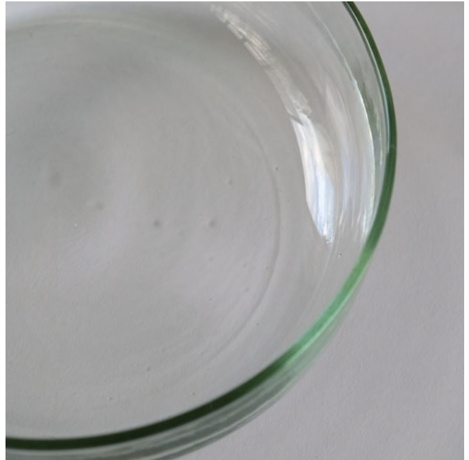 “リューズガラス