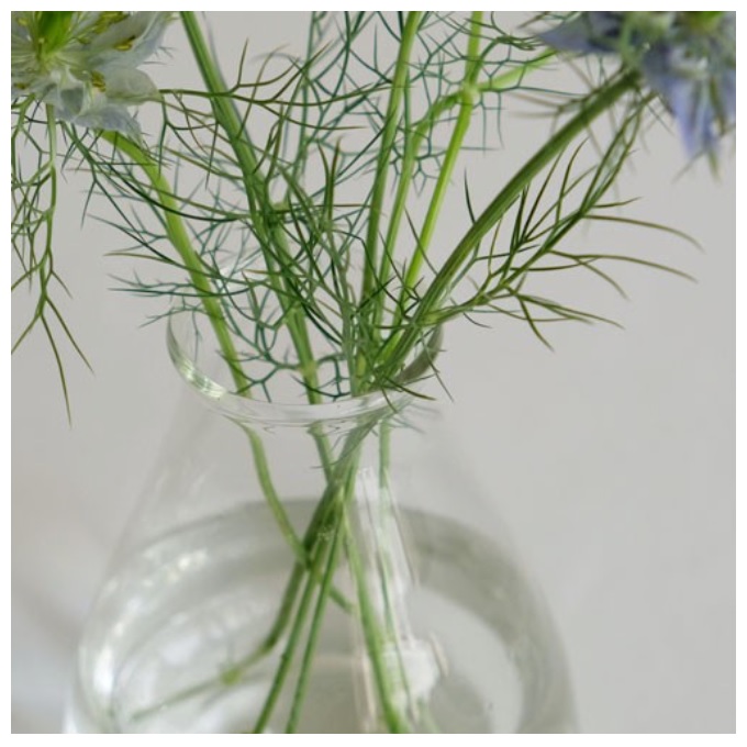 “リューズガラス