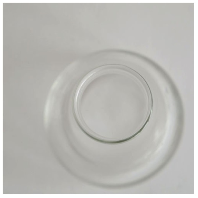 “リューズガラス