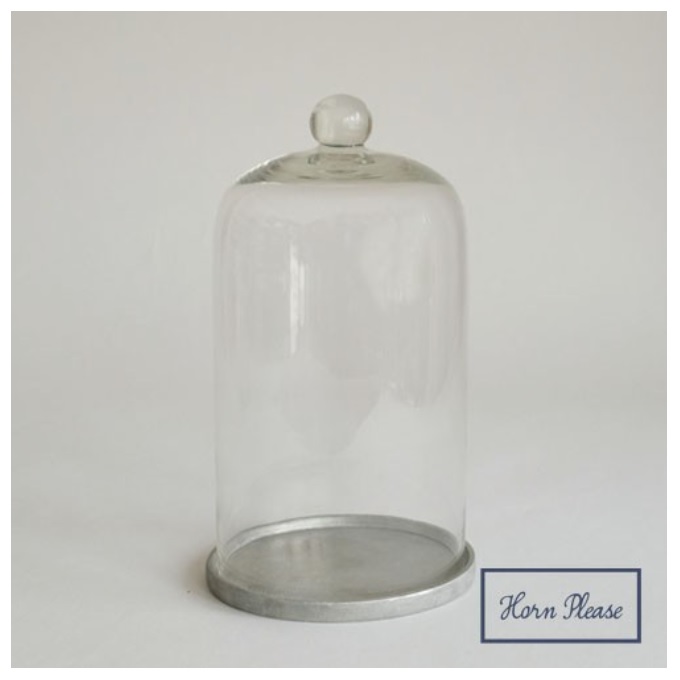 “ディスプレイドーム”