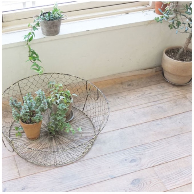 “アイレットウィーブ