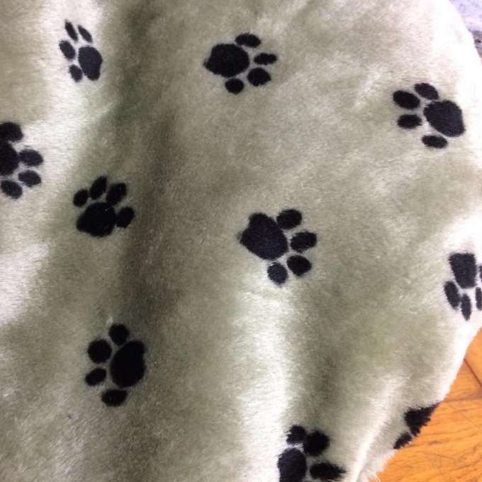 SPICE PAW-PAW キャットハウス