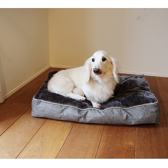 SPICE PAW-PAW リバーシブルペットクッション