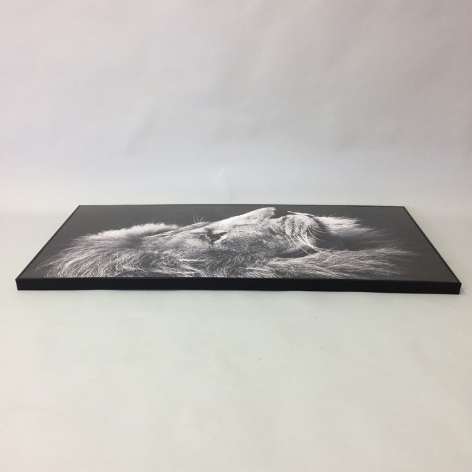 SPICE Monochrome アートパネル