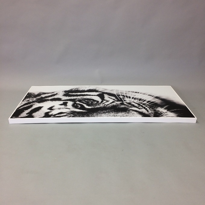 SPICE Monochrome アートパネル