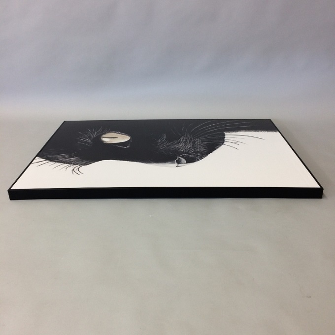 SPICE Monochrome アートパネル