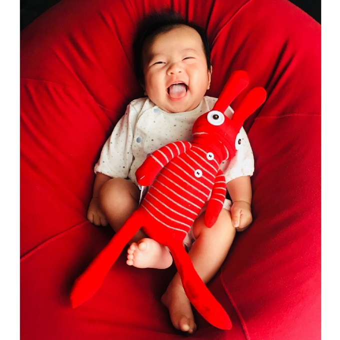 アニマルソックドール