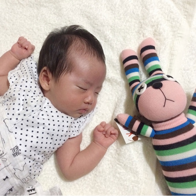 アニマルソックドール