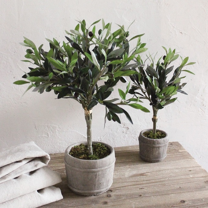 SPICE フェイクグリーン オリーブ 