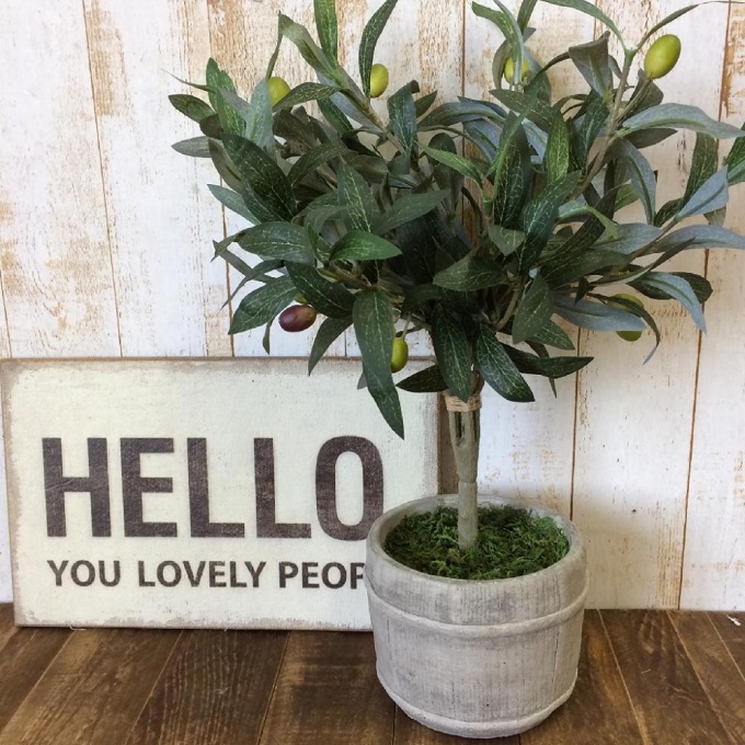 SPICE フェイクグリーン オリーブ 