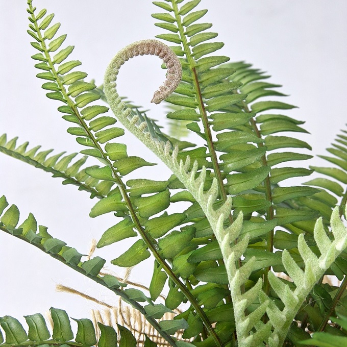 SPICE ジュートポット入りフェイクグリーン