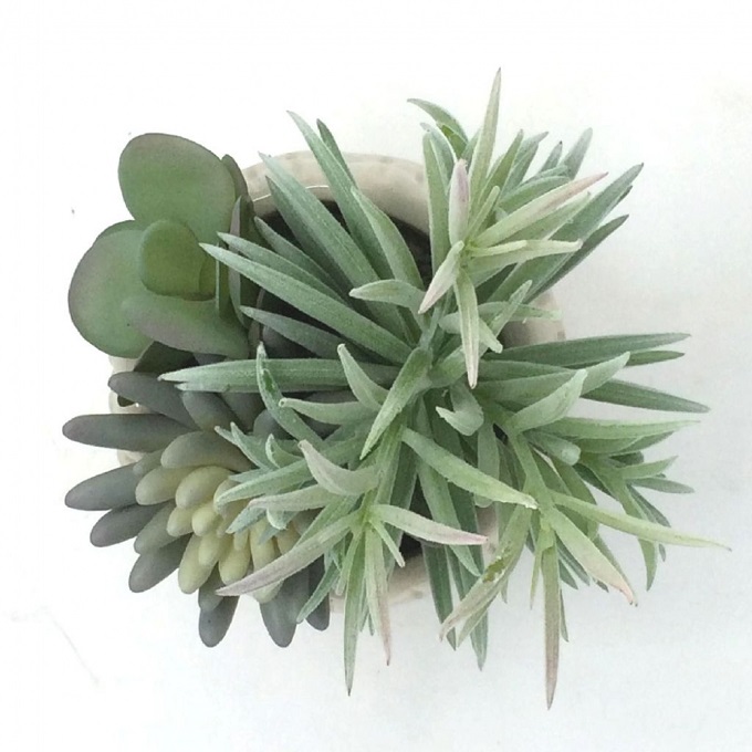 SPICE フェイクグリーンアレンジ スクエア