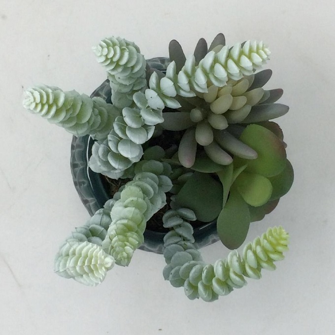 SPICE フェイクグリーンアレンジ スクエア