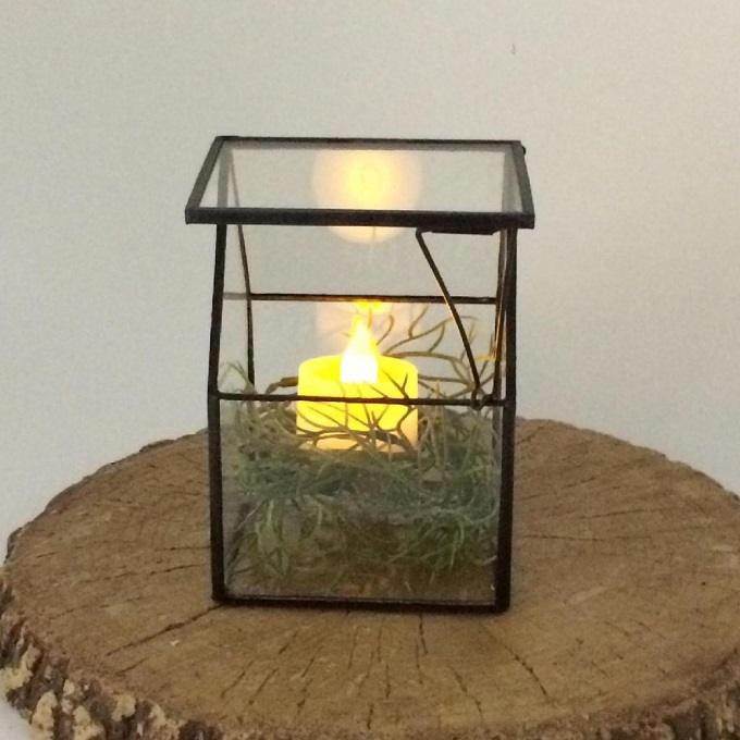 SPICE ガラステラリウム ハウス