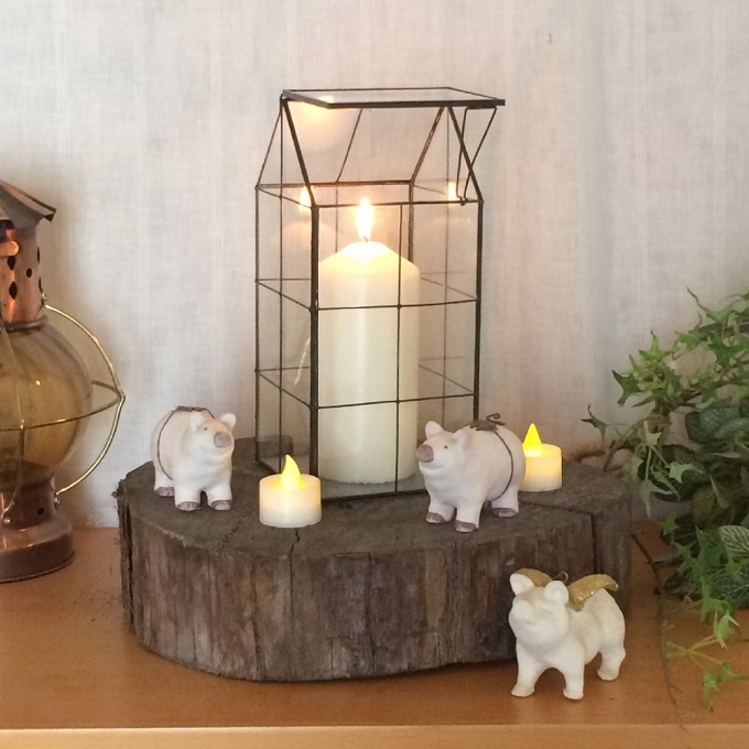 SPICE ガラステラリウム ハウス