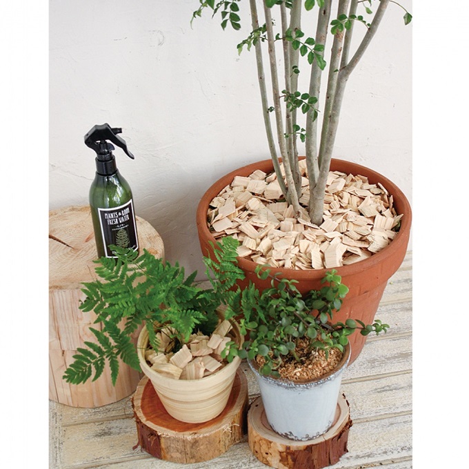 SPICE ヒノキ 天然ウッドパウダー